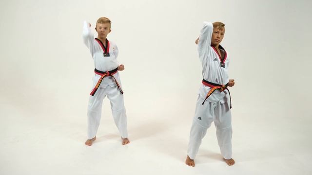 ВАЖНО! УДАРЫ И ЗАЩИТА РУКАМИ НА ЧЕРНЫЙ ПОЯС! смотреть онлайн