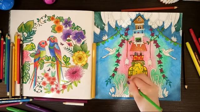 УДИВИТЕЛЬНЫЕ ДЖУНГЛИ | НОВАЯ РАСКРАСКА | Magical Jungle Johanna Basford смотреть онлайн