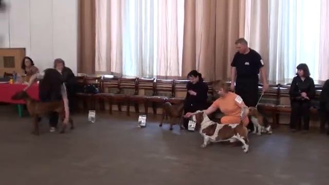 6-ая группа (FCI - 6) смотреть онлайн