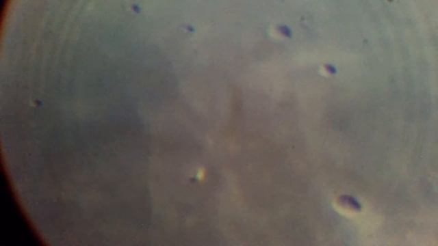 The Last Quarter Moon (Part One) смотреть онлайн