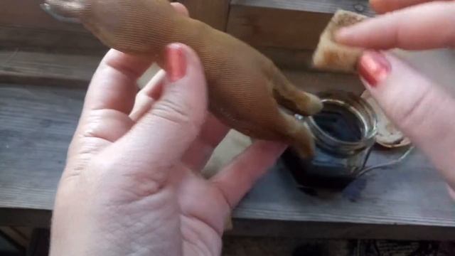 Мастер-класс "Красим котика" 2часть смотреть онлайн