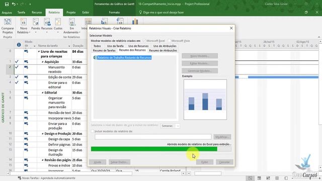 Project 2016 - Aula Gratuita - Gerando Relatórios Visuais com Excel смотреть онлайн