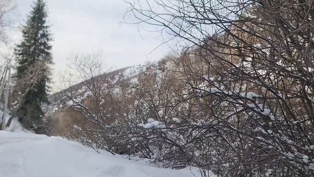 Поход от Медео через Кимасаровское ущелье на нижний Бутаковский водопад 3 февраля 2024 года 9 часть