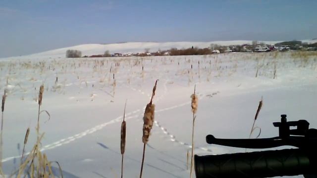 Динго лонг т 150 смотреть онлайн