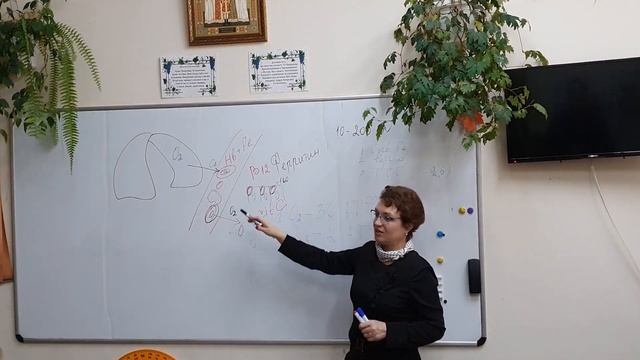 Лекция Т.В. Плесовских об иммунитете смотреть онлайн