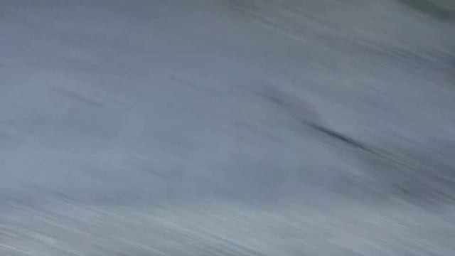 Мальчики шарпея смотреть онлайн