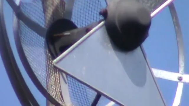 test 67x zoom sony dcr pj5e смотреть онлайн