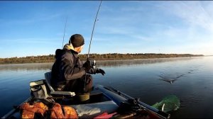 Ловля НА ОТВОДНОЙ ПОВОДОК с лодки #СУДАКА# БЕРША #ОКУНЯ