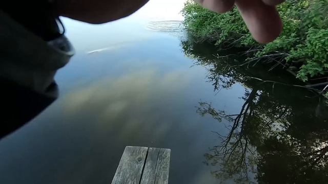 Обзор воблеров Lucky John Original. Тестируем новинки! смотреть онлайн