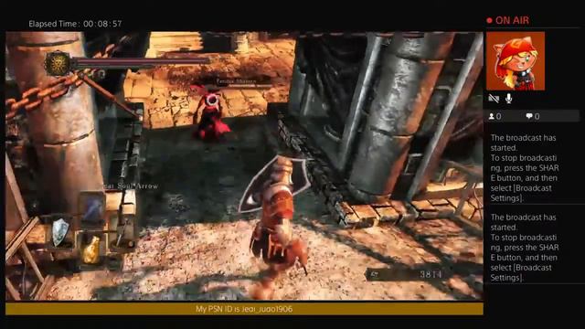 Dark Souls 2 SotFs Walkthrough part 10 Shaded Woods смотреть онлайн