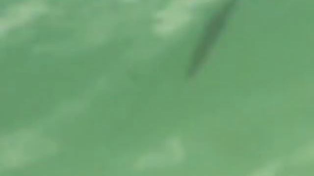 Меловые горы. Гродно. Аквариум в поликлиннике. Москва. смотреть онлайн