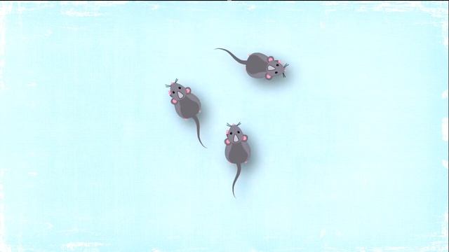 Новая серия игры для кошек, котов и котят! На экране шустрые мышки бегают для вашей кошки! смотреть онлайн