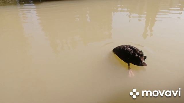 #Абхазия 2021 #отдых на море2021#лето2021 Прогуляемся по #Новому Афону?! Часть 2??❤️ смотреть онлайн