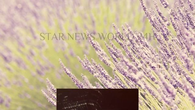 #王一博 的全情投入：从赛车到网球，一切皆为卓越！#wangyibo #yibo #uniq #starnewsworld24h смотреть онлайн