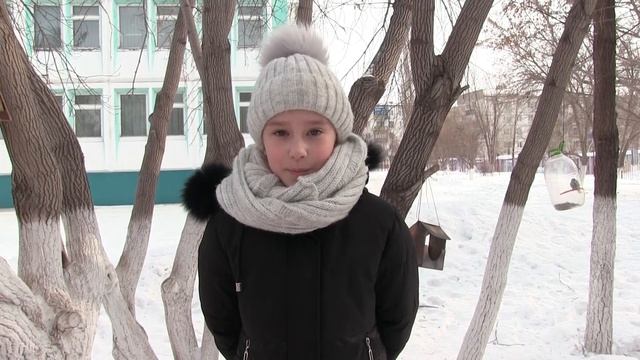"Покормите птиц зимой" смотреть онлайн