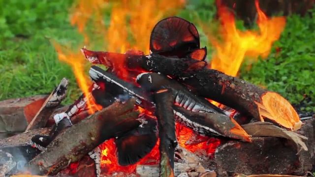Костер в лесу. Пение птиц. 10 часов(без музыки) смотреть онлайн
