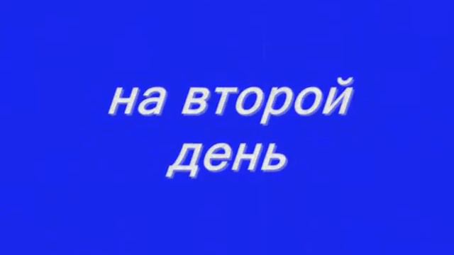 свадьба Артура и Кати смотреть онлайн