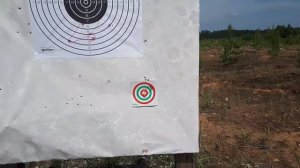 Лось 145 в 308.