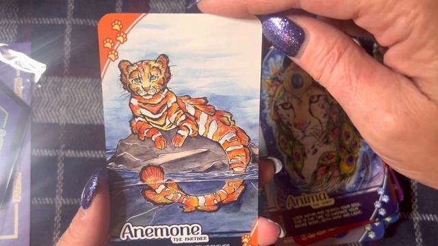 Mythic Cats Oracle Deck Set Unboxing and Walkthrough смотреть онлайн