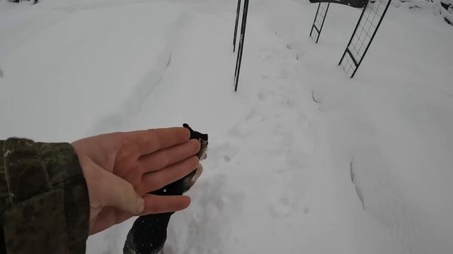 Собираем новую кроватку для сына и выращиваем виноград зимой смотреть онлайн