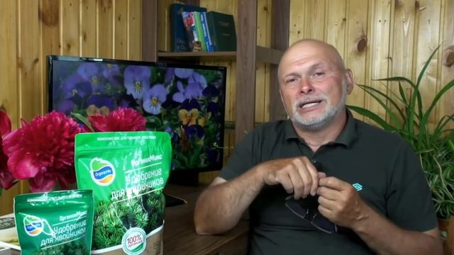 Хвойные растения скажут вам спасибо | Как ухаживать за хвойными? смотреть онлайн