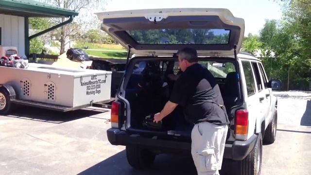 Car Jacking Simulation Training Giant Schnauzer For Sale Protection DogSales.com