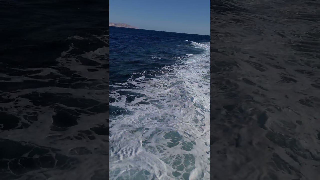 Египет. Шарм-Эль-Шейх. Прекрасное Красное море. смотреть онлайн