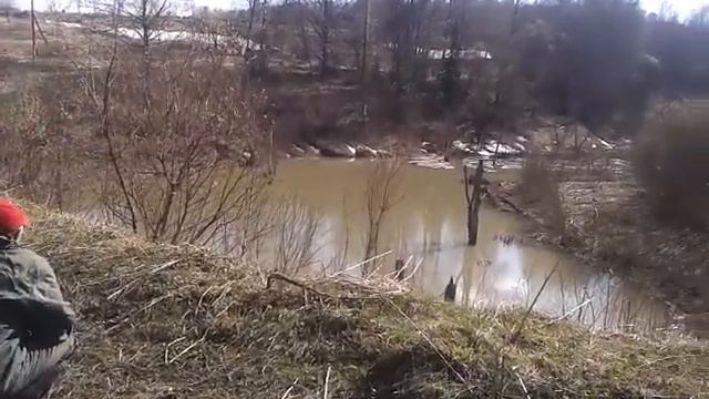 Таёжное озеро ( выдра или бобёр ? ) смотреть онлайн