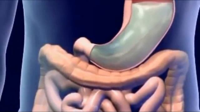 कैल्शियम की कमी से क्या होता है, calcium ki kami, calcium ki kami kaise dur kare смотреть онлайн