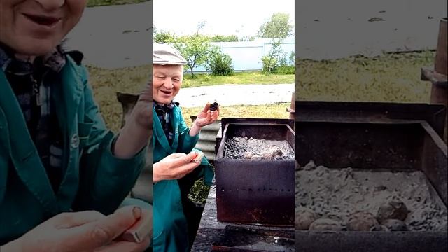 Вспомнил школьные годы, картофель запеченный в углях на костре. смотреть онлайн