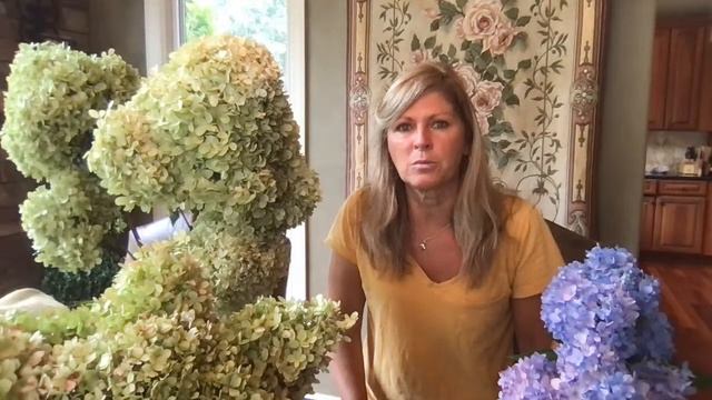 Hydrangea Care Tips For Fall смотреть онлайн