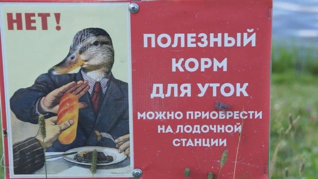 Екатеринбург Академический район _Июль 2023 смотреть онлайн