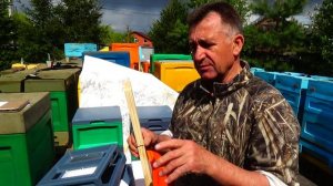 У МЕДВЕДЕЙ родился нуклеус