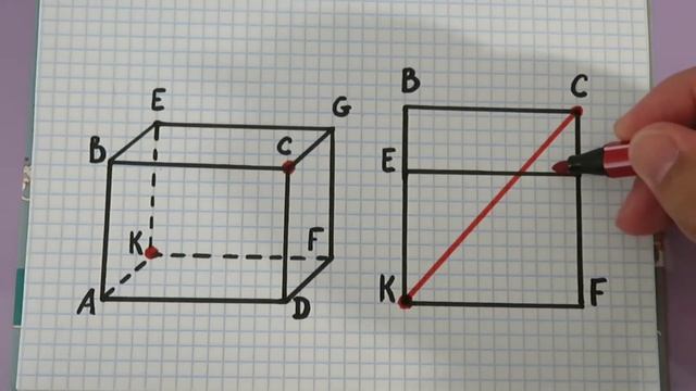 Задача про паука и муху ?️ Решение смотреть онлайн