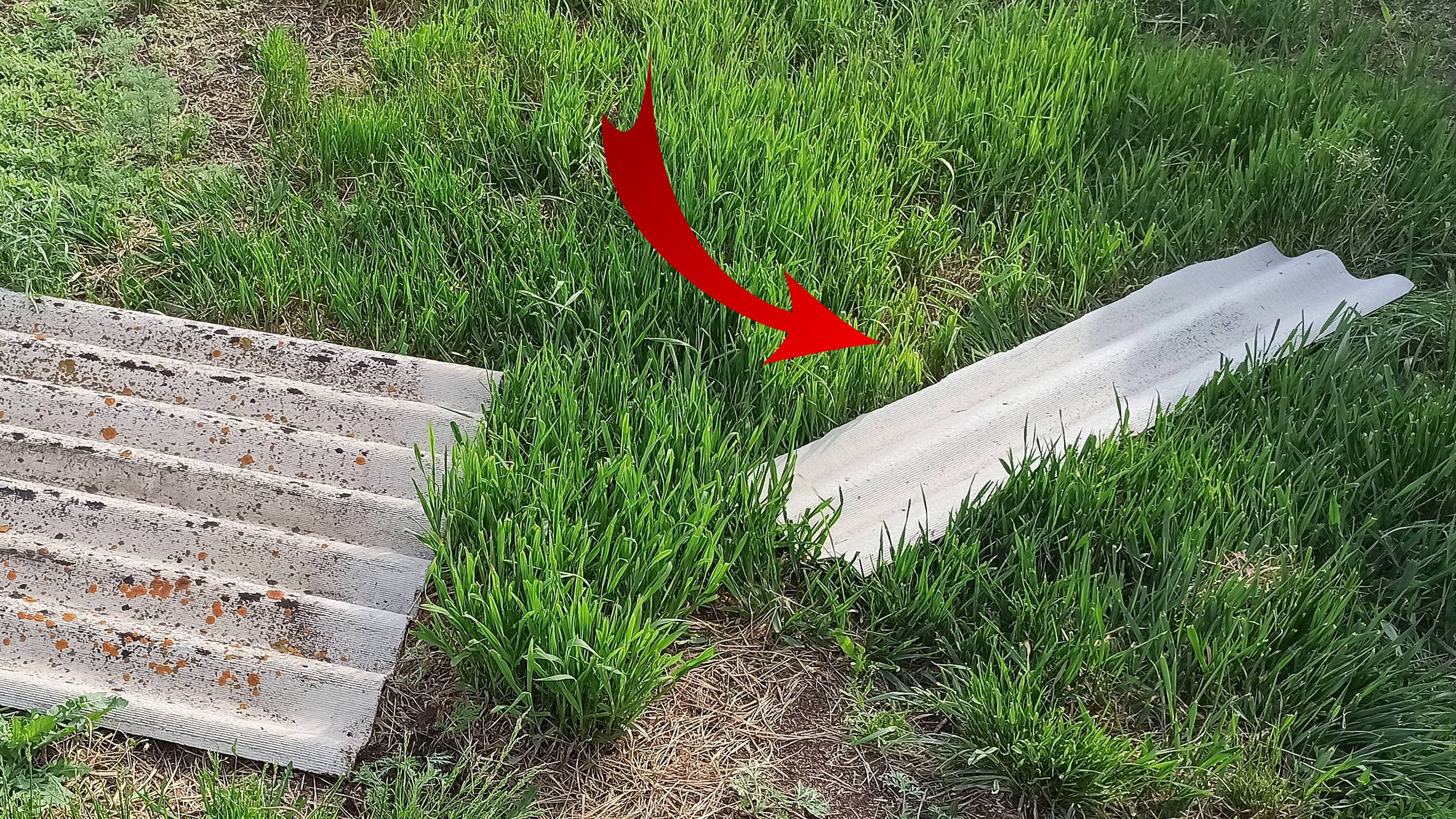 Миллионы дачников скажут мне спасибо за эту идею из обрезков старого шифера смотреть онлайн