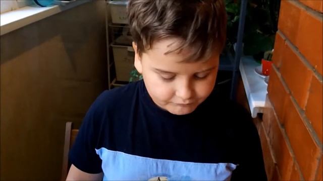 DIY Картина из сухих листьев и плодов на школьный конкурс смотреть онлайн