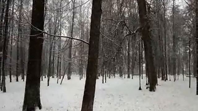 Снегопад /авт. песня/ смотреть онлайн