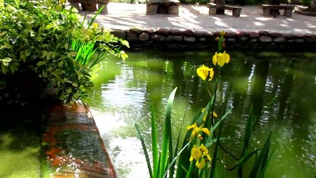 В этом мире я только прохожий. Сергей Есенин (слушать) смотреть онлайн