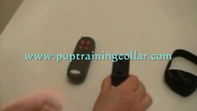 Multi-Functional Trainer E-314 Collar смотреть онлайн