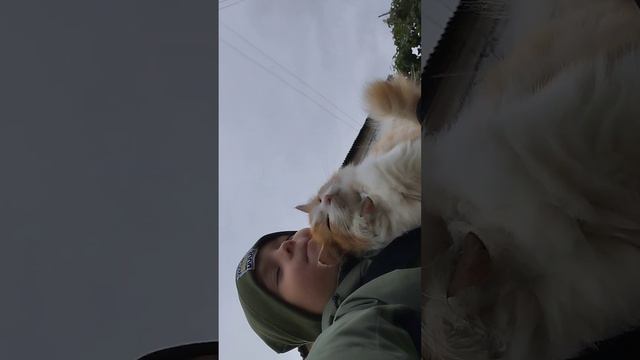 Простите забыл сказать всем пока смотреть онлайн