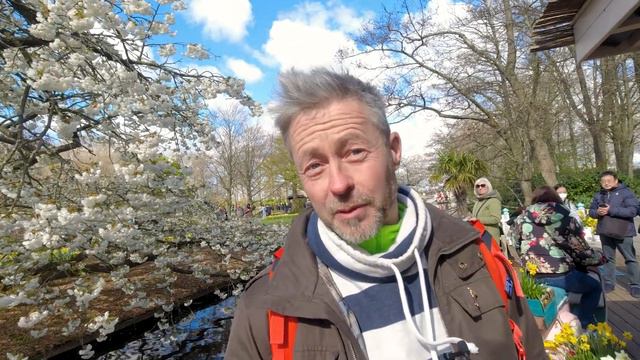 Tulipánok milliói Európa legnagyobb virágos kertjében - látogatás Keukenhofban смотреть онлайн