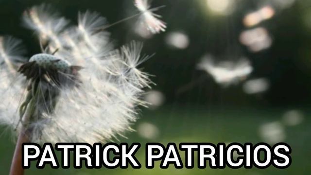 PATRICK PATRICIOS - ONE UNICAL MUSIC - (Official Music)2020
