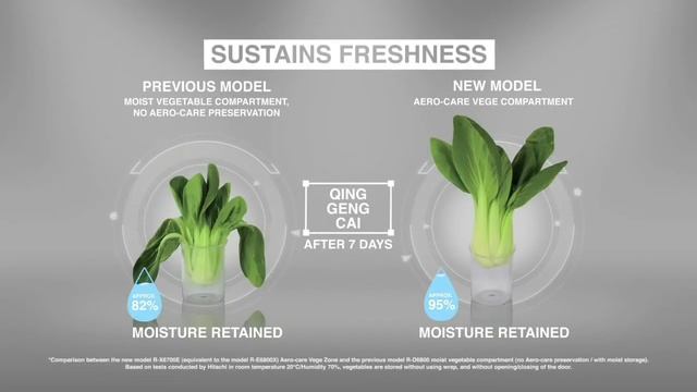 Hitachi No-Frost Refrigerator