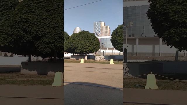 Как называются деревья?????????? смотреть онлайн