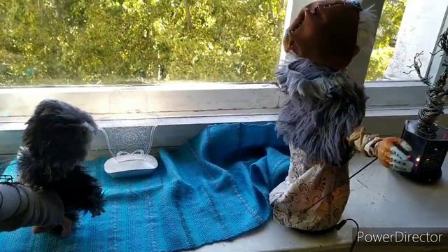 Честер дома в Кирове