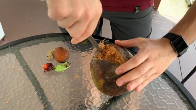 Сурат Тхани, Тайланд. Природа, растения, река смотреть онлайн