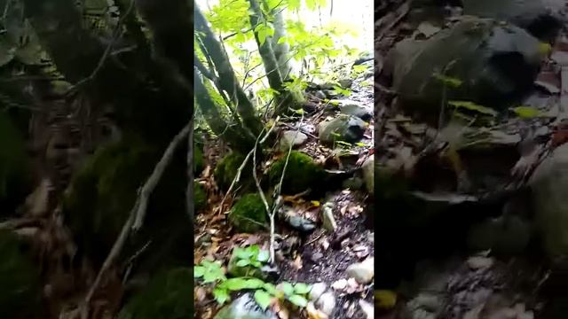 Ачипсинская крепость. Обзор достопримечательности Курорта Красная Поляна. смотреть онлайн