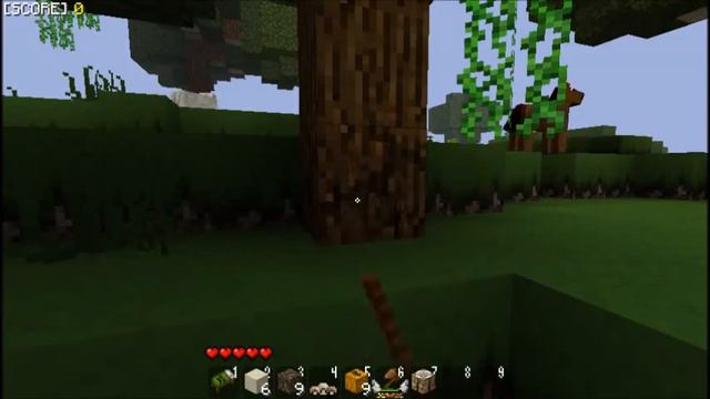 Let's play Minecraft with Yogbox-Part 5:The new Village смотреть онлайн