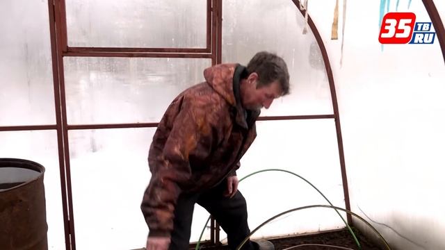 Что делать, если рассада не помещается на подоконниках? смотреть онлайн