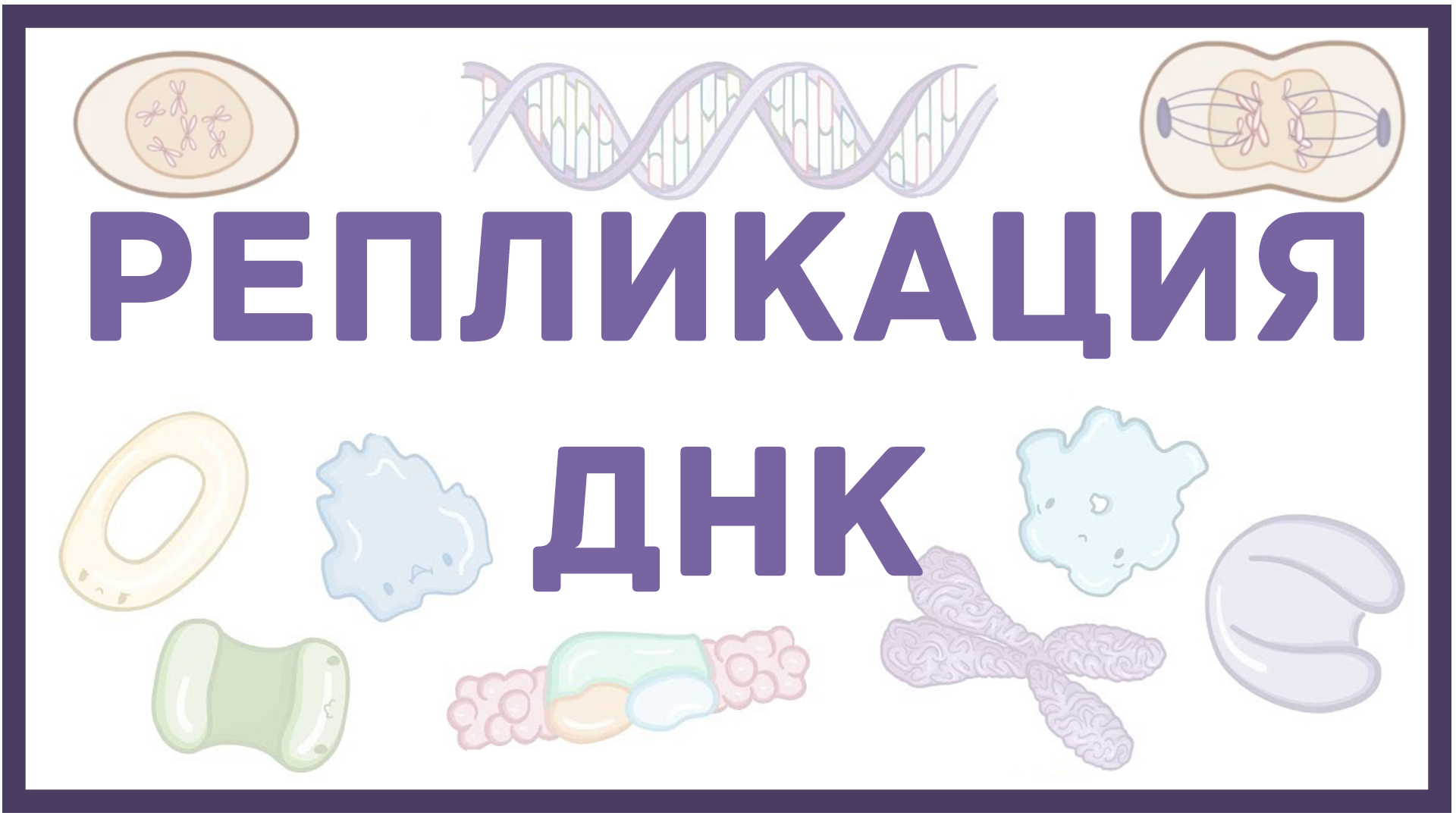 Репликация ДНК смотреть онлайн